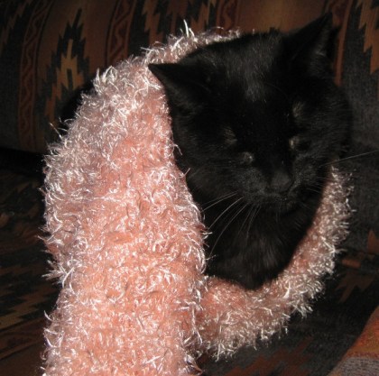Scratchy wearing a pink scarf