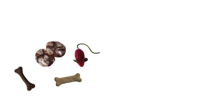 Cookies, dog treats, and a mouse