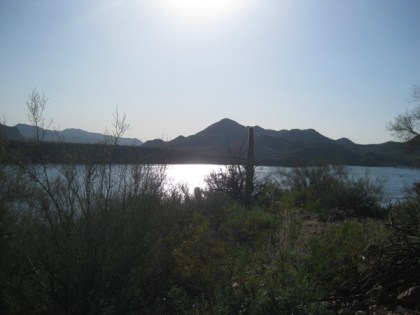 Saguaro Lake