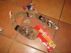 Toy snake and torn up box