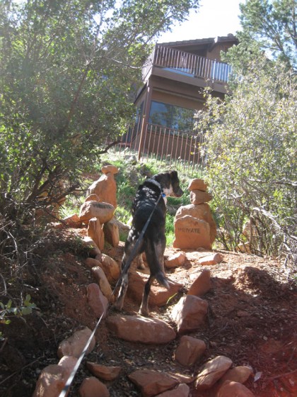 Bongo at the top of the steps