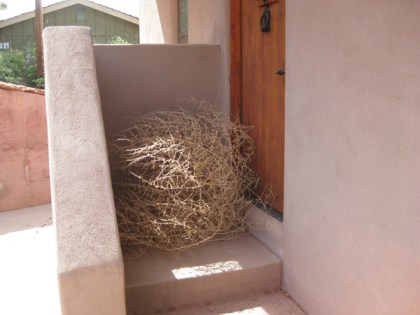 Tumbleweed at the door