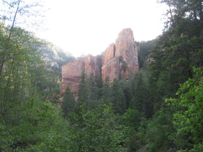 Red cliff among trees
