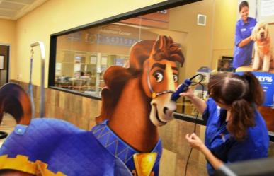 Duke getting groomed