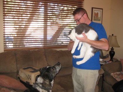 Gizmo being held with Bongo looking on