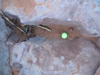 Airsoft pellet in a crevice