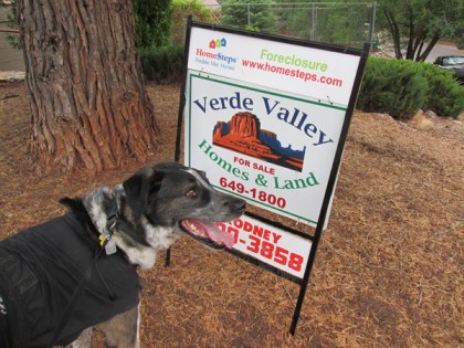 Bongo in front of a Foreclosure sign