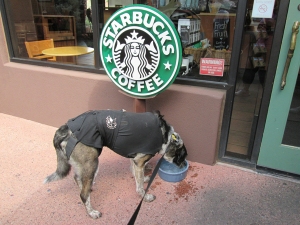 Bongo drinking Starbucks water