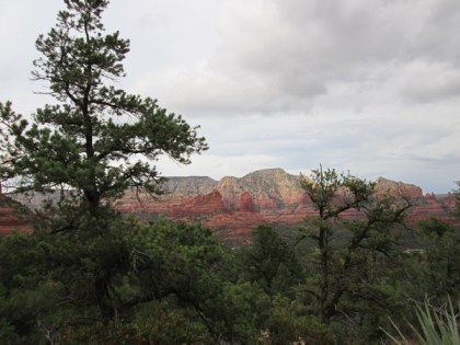 Sedona red rocks behind trees