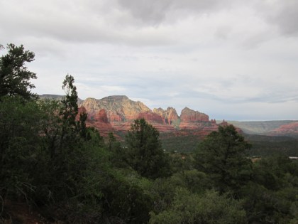 Sedona red rocks behind trees