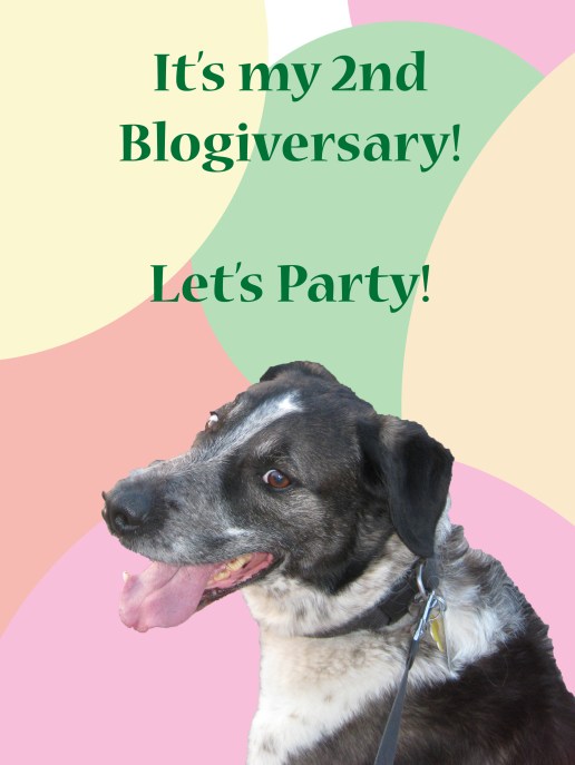 Bongo's 2nd Blogiversary