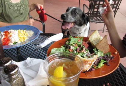 Bongo at the table smiling