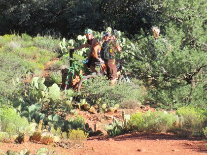 Mountain bikers stopped on the trail