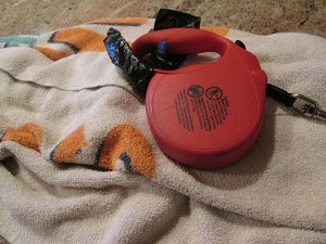 Red leash on a towel