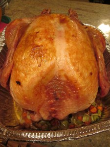 Cooked turkey