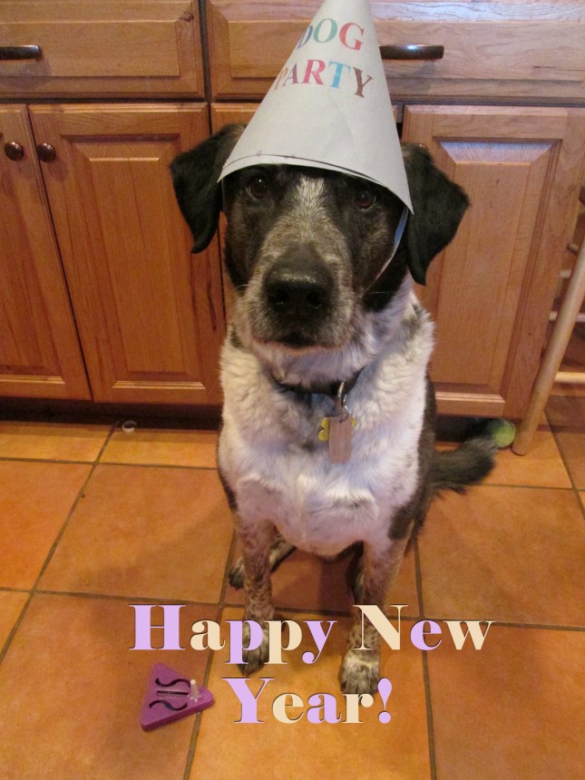 Bongo with his party hat