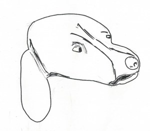 Drawing of a mad dog's head