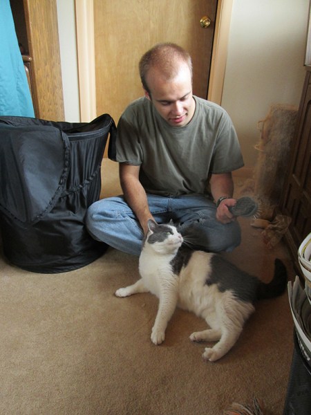 Gizmo enjoying the brushing