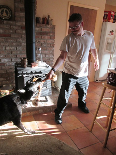 Bongo and a friend playing tug o war