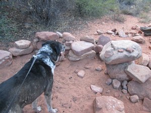 Bongo and a bunch of rocks