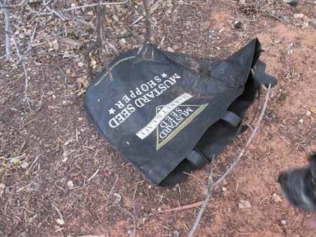 Mustard Seed Shopper bag