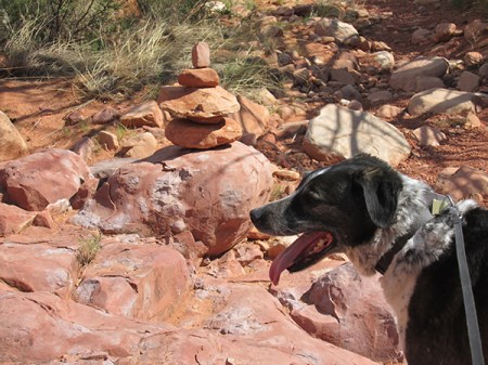 Bongo in front of a slightly shorter rock stack