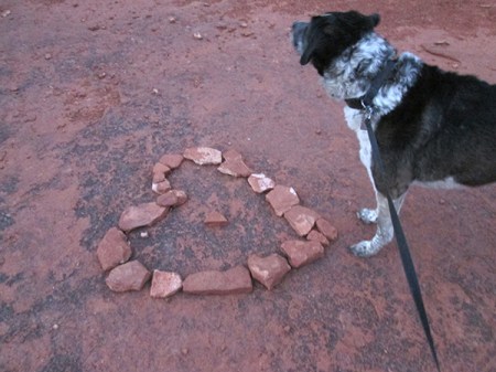 Bongo near the rock heart and looking around