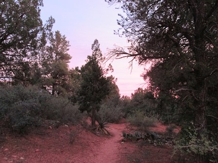 Sunset turning the trail pink