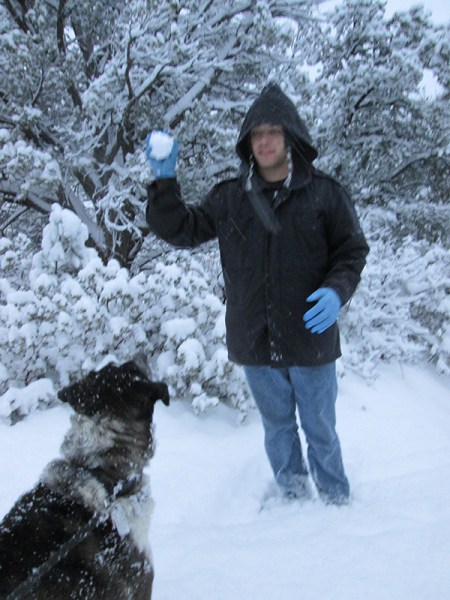 Bongo waiting for his younger person to throw a snowball